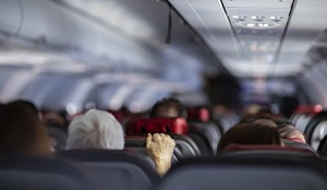 Узбекистан. Минтранс о ценах на коммерческие репатрационные рейсы