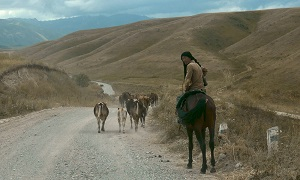 Инфраструктура в Центральной Азии сквозь призму антропологии