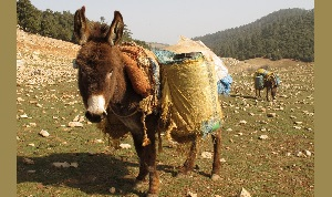 Почему Таджикистану не хватает воды?