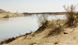 На туркмено-узбекской границе произошла перестрелка с контрабандистами сигарет