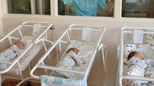 Узбекским предпринимателям предложили отапливаться кизяком