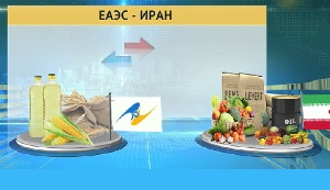 Зона свободной торговли ЕАЭС–Иран: взаимные и уже не временные выгоды