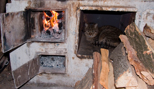 Узбекистан. Власть. Испытание холодом