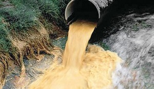 Узбекистан. За фиксацию экологических правонарушений начнут поощрять