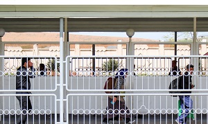 Узбекистан. Челночная торговля полностью остановилась