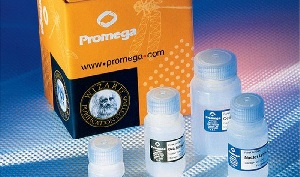 Туркменский самолет прилетел в Мюнхен за врачами