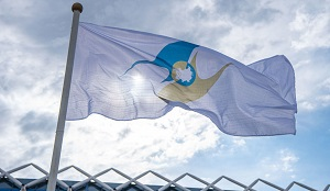 Евразийская пенсия: как можно оформить денежные выплаты