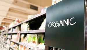 Покорятся ли рынки ЕАЭС сельскохозяйственной органике?