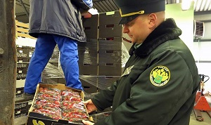 Выгода от интеграции: если она не паритетна, то какая же это выгода?