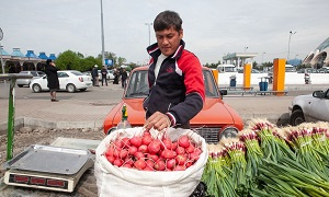 Китай приоткрывает свой рынок для центральноазиатских экспортеров