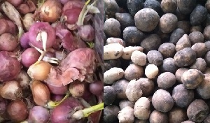 В детсадах Туркменистана не хватает продуктов питания