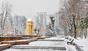 Налог на Google, вирус-капут и энерголимит - январь в Таджикистане