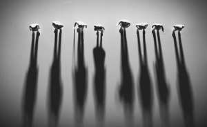 Тени для министров: в Казахстане предлагают создать альтернативу правительству?