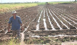 В Таджикистане перед аграрным сезоном начали расти цены на удобрения