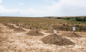 Страны Центральной Азии сильно занижают число жертв коронавируса – исследование