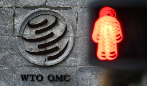 Эксперты рассказали, как Узбекистану пробиться в ВТО — в этом поможет ЕАЭС