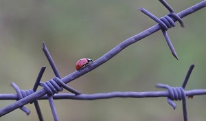 Первое предупреждение. Грозят ли Казахстану санкции ЕС, и чем они могут обернуться?
