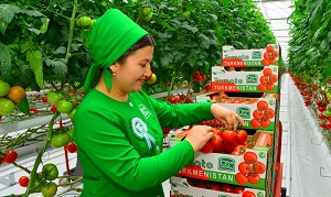 Туркменистан: кого бы забросать гнилыми помидорами?