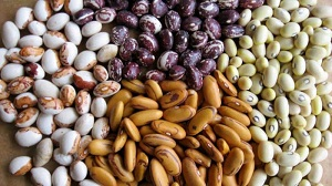 Проблема кыргызских предпринимателей – неэффективный бизнес