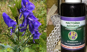 В Кыргызстане медики начали лечить COVID-19 смертельно опасной настойкой