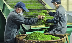 Китай движется к демографическому кризису