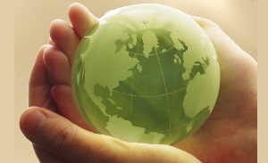 «Зеленая экономика» — почему альтернативы для Казахстана нет?