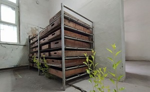 Доведенные до грани. Госпредприятия, которые хочет продать Кыргызстан