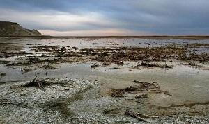 Ни воды, ни суши: проблемы Арала растут по мере его высыхания