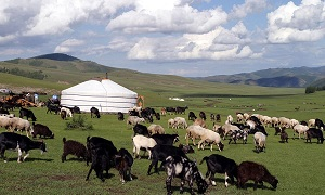 Частная собственность – не решение. О миражах земельной реформы в Казахстане