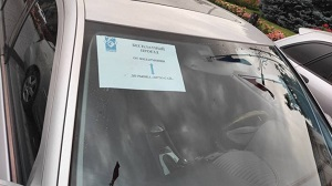 Кыргызстан. Проблема с маршрутками — какие альтернативы доступны