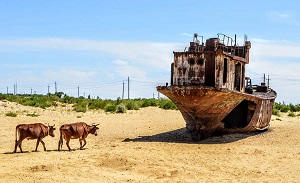 «Соленая рана» Центральной Азии: как Узбекистан решает проблему Приаралья