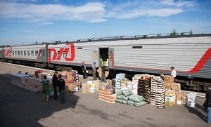 Фрукты и овощи Узбекистана в Россию рефрижераторами и на большой скорости