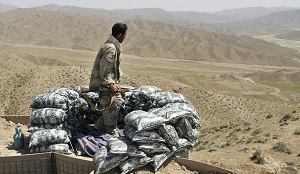 Талибы*: Почему сейчас?