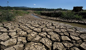 Засуха угрожает миру и стабильности в Центральной Азии