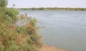 Узбекистан поделится водой с казахстанскими фермерами