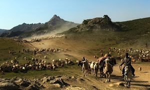 Историк Темиргалиев: казахское шежiре – это не миф. Часть2