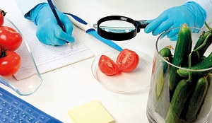 Фитосанитарная интеграция в Евразийском союзе повысит безопасность продуктов