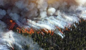 Столицу Казахстана накрыло дымом от сибирских пожаров