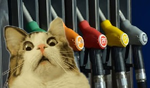 Сравниваем цены на бензин в Кыргызстане, России, Казахстане и других странах