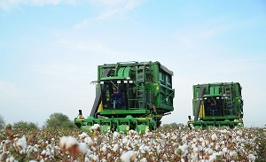  Туркменистан: лучшее – враг хорошего