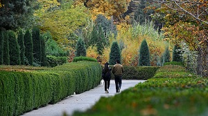 Миллиардная экология: сколько стоит хороший климат в Таджикистане