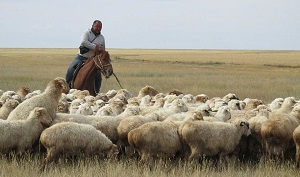 Туркестанская область – лидер по рождаемости и по бедности в Казахстане