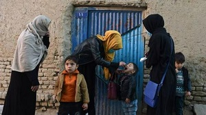 BBC сообщило о мерах, предпринимаемых талибами против вакцинации от полиомиелита