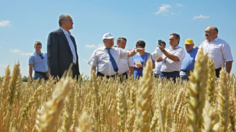 Как планируют развивать АПК до 2025 года - Минсельхоз РК