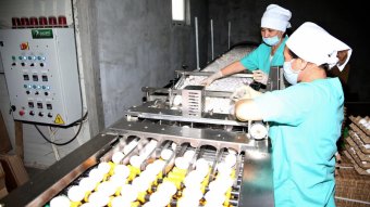 Промышленность КР восстанавливается после затяжного спада