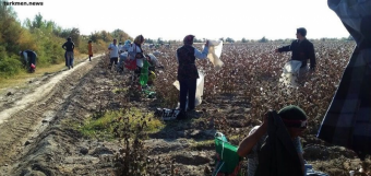 Депутаты Европарламента призвали отказаться от туркменских товаров