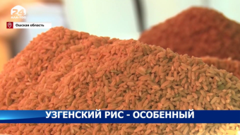 Узгенский рис - Ферганское сокровище Востока