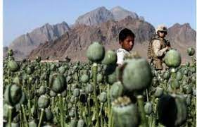 Эмомали Рахмон призвал страны ЦА усилить борьбу с наркотрафиком 