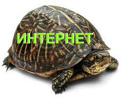 В чём беда таджикского Интернета? 