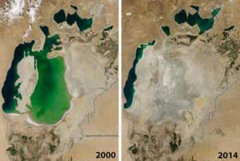 Чтобы обуздать бурю, Всемирный банк советует Узбекистану высаживать деревья